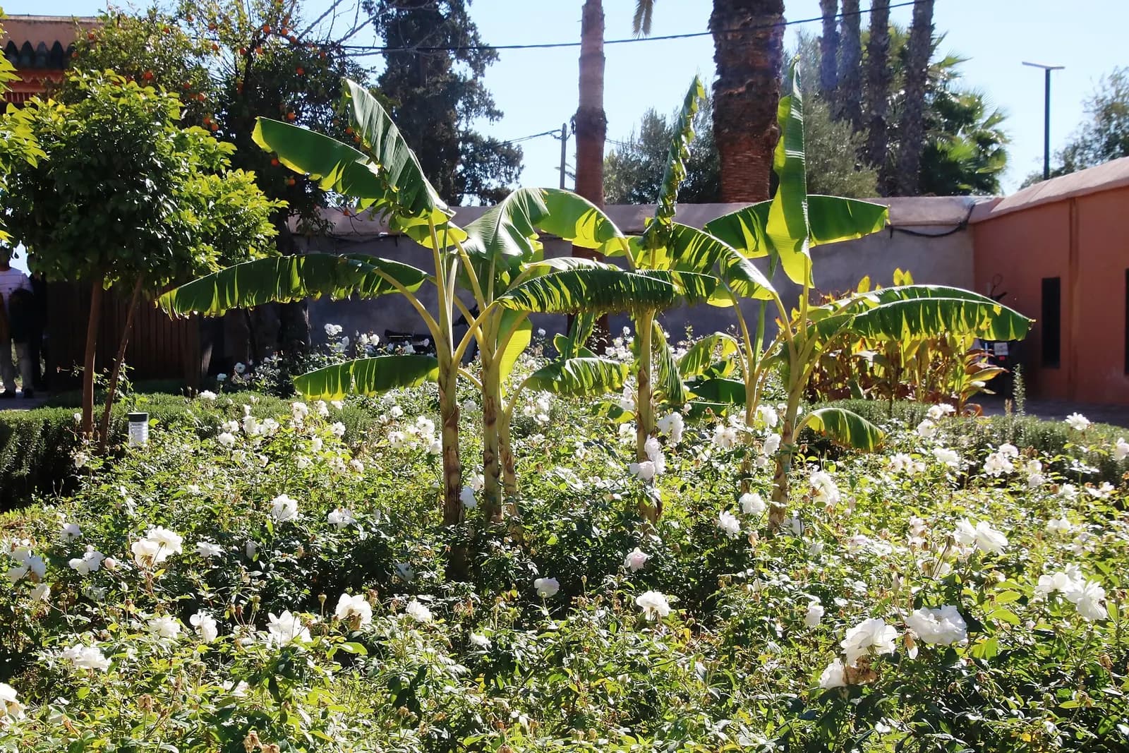 Les jardins de la Ménara à Marrakech